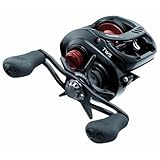 タトゥーラ　TWS　TYPE-R100H Amazon | ダイワ(DAIWA) ベイトリール 24TATULA TW 100L